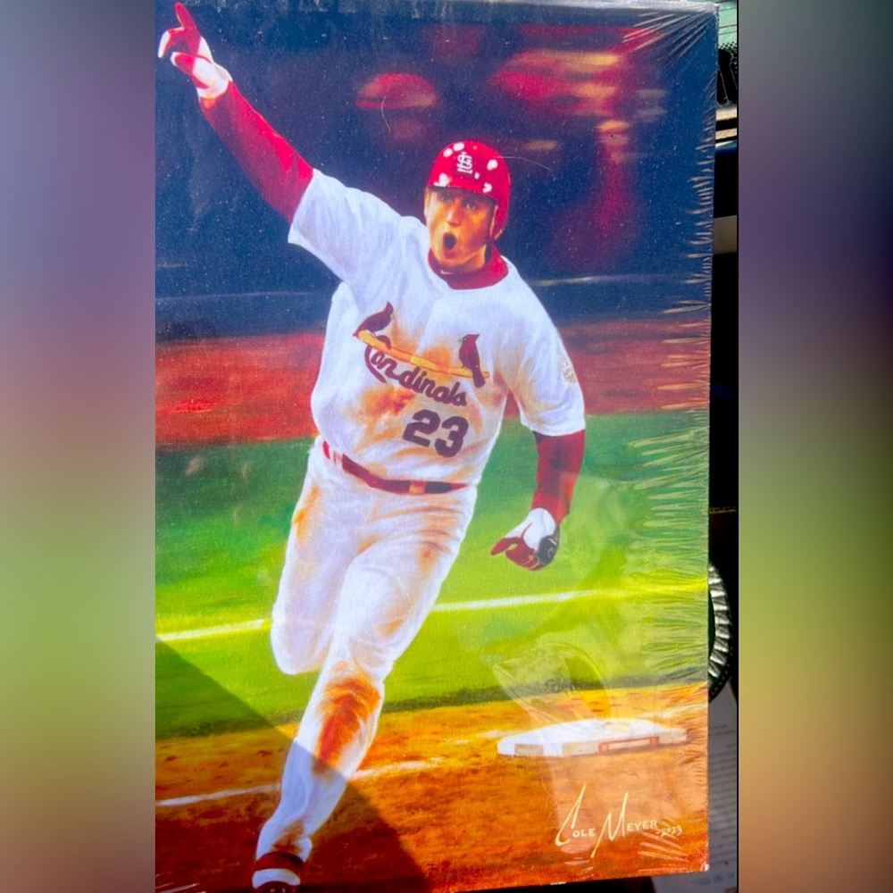 Cardinals canvas